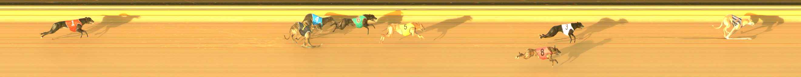 Photo finish for Ballarat Race 4