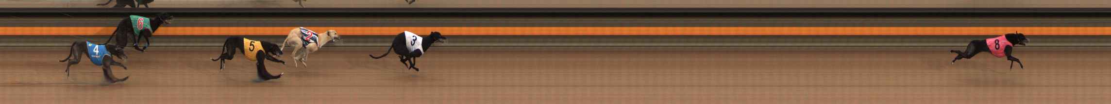 Photo finish for Ballarat Race 2