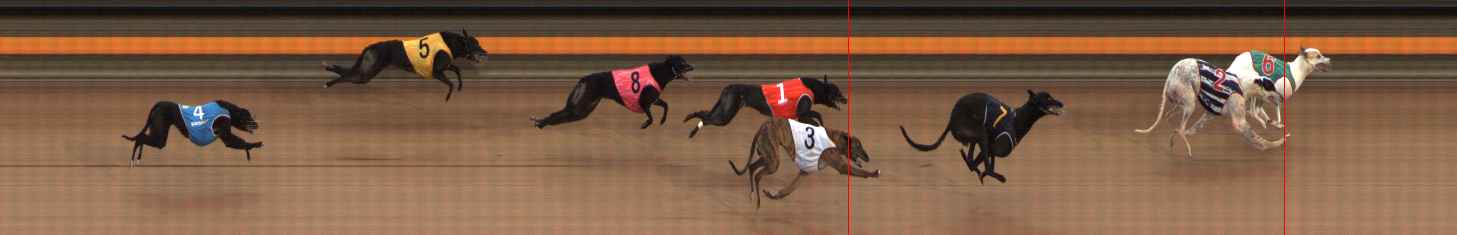 Photo finish for Ballarat Race 3