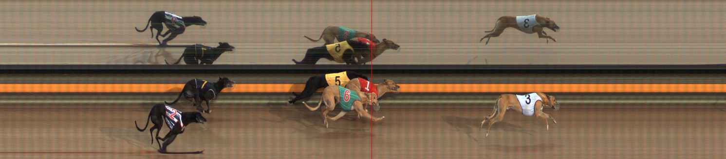 Photo finish for Ballarat Race 5