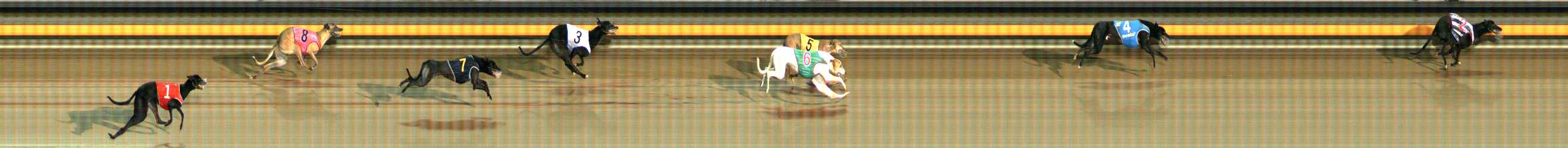 Photo finish for Ballarat Race 7