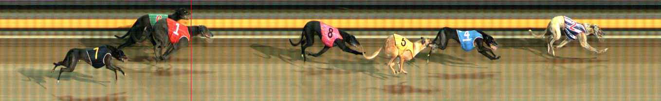 Photo finish for Ballarat Race 8