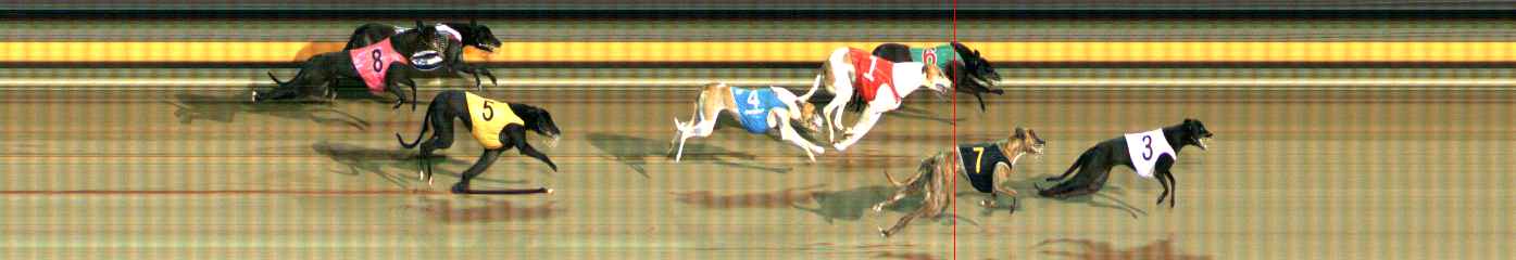 Photo finish for Ballarat Race 10