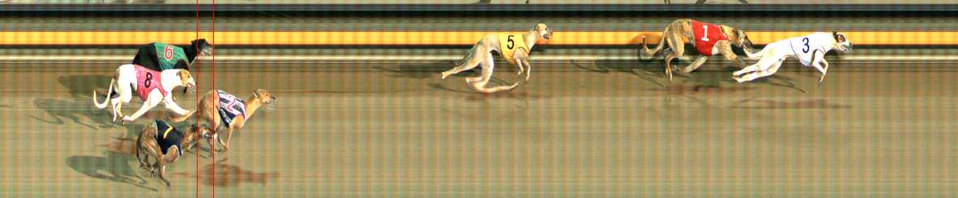Photo finish for Ballarat Race 11