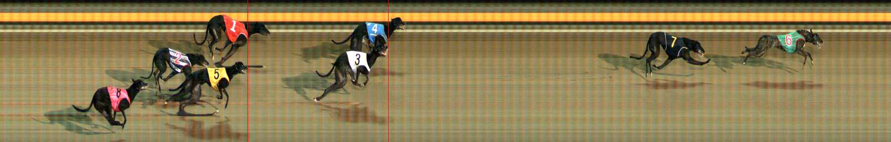 Photo finish for Ballarat Race 12