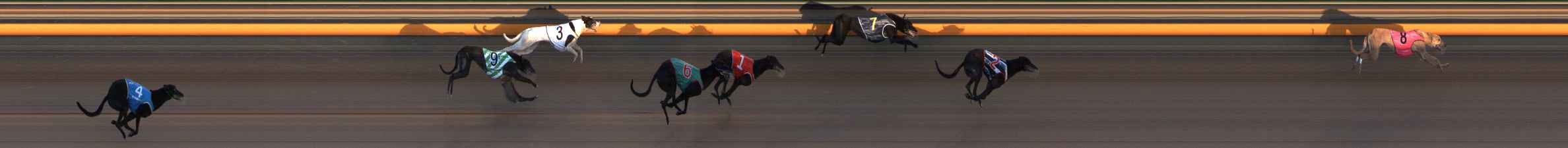 Photo finish for Ballarat Race 3