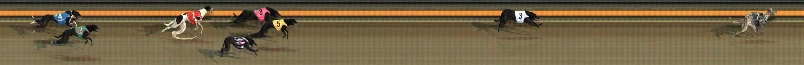 Photo finish for Ballarat Race 6