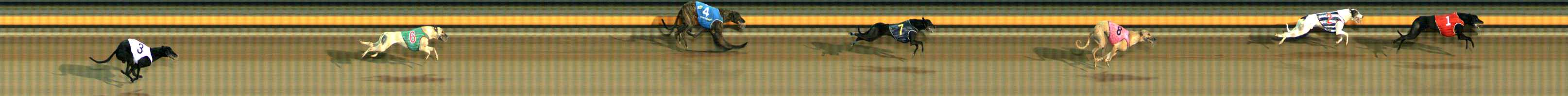 Photo finish for Ballarat Race 7