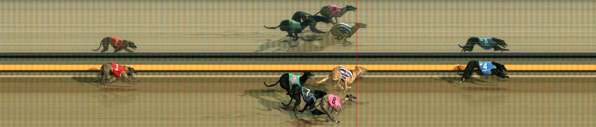 Photo finish for Ballarat Race 8