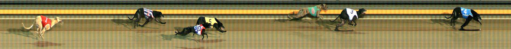 Photo finish for Ballarat Race 9