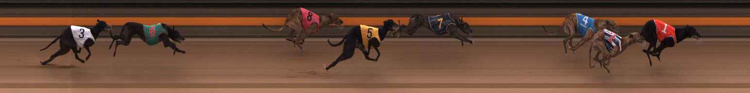 Photo finish for Ballarat Race 2