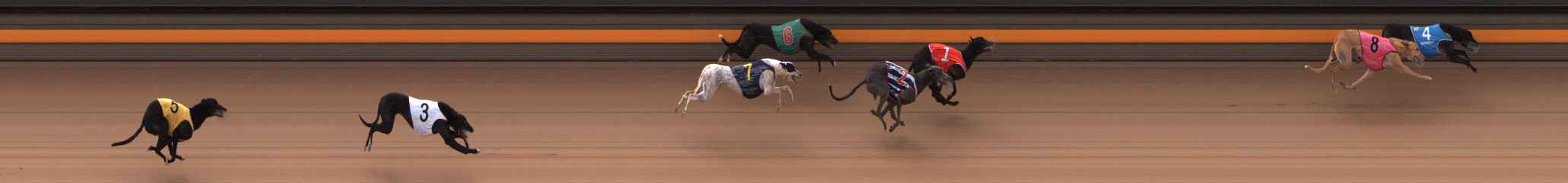 Photo finish for Ballarat Race 4