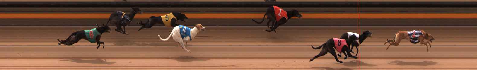 Photo finish for Ballarat Race 6