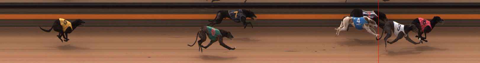 Photo finish for Ballarat Race 8