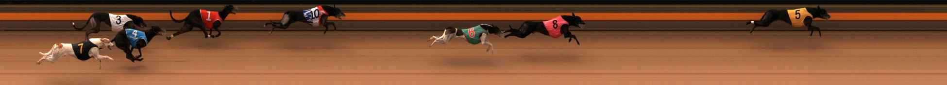 Photo finish for Ballarat Race 9