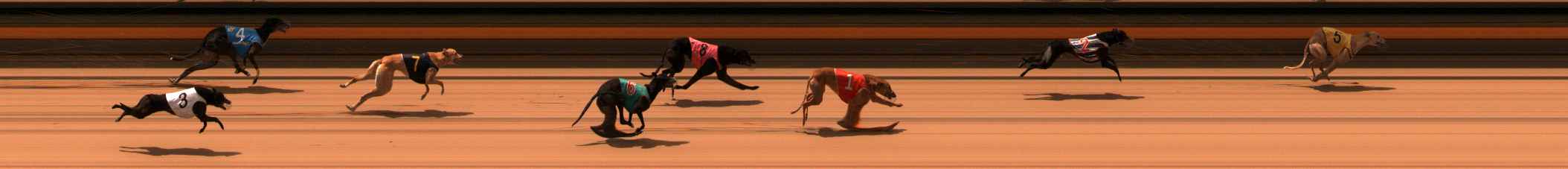 Photo finish for Ballarat Race 10