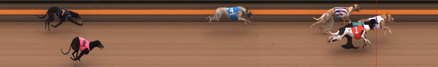Photo finish for Ballarat Race 2