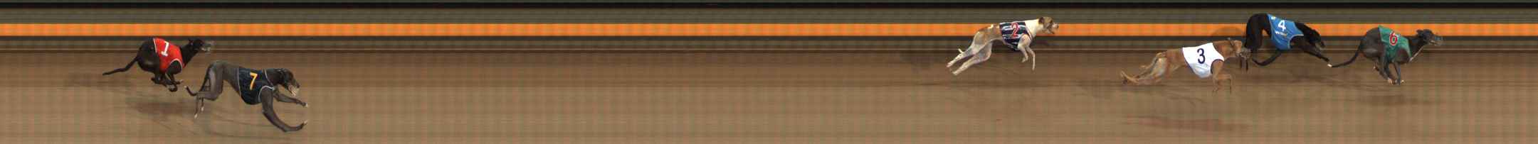 Photo finish for Ballarat Race 5
