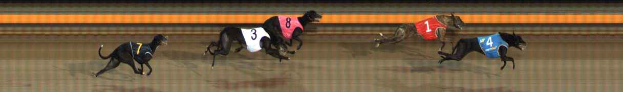 Photo finish for Ballarat Race 6