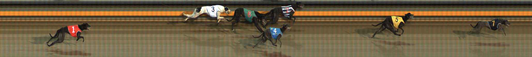 Photo finish for Ballarat Race 7