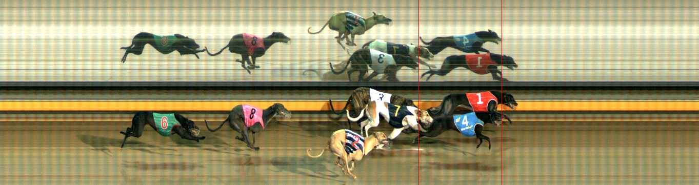 Photo finish for Ballarat Race 8
