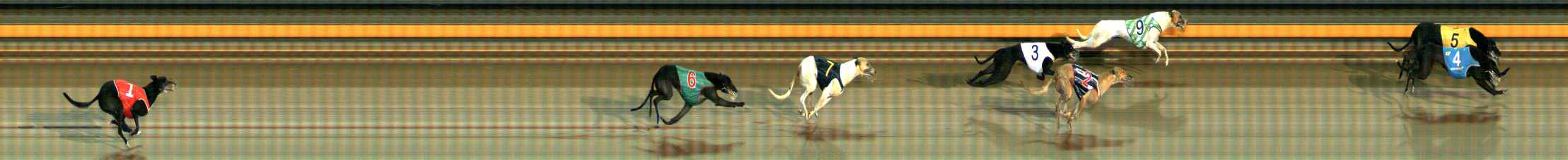 Photo finish for Ballarat Race 9