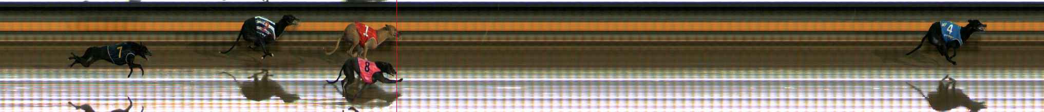 Photo finish for Ballarat Race 11