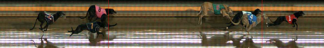 Photo finish for Ballarat Race 12