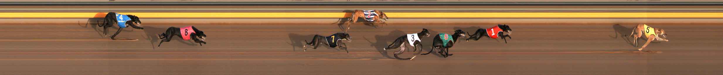 Photo finish for Ballarat Race 1
