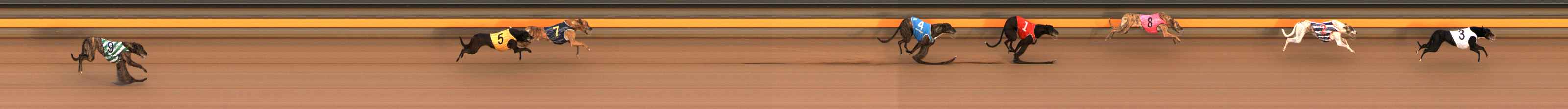 Photo finish for Ballarat Race 2