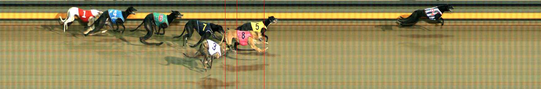 Photo finish for Ballarat Race 7