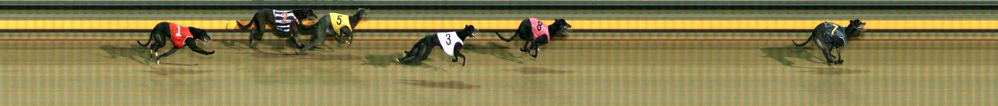 Photo finish for Ballarat Race 11