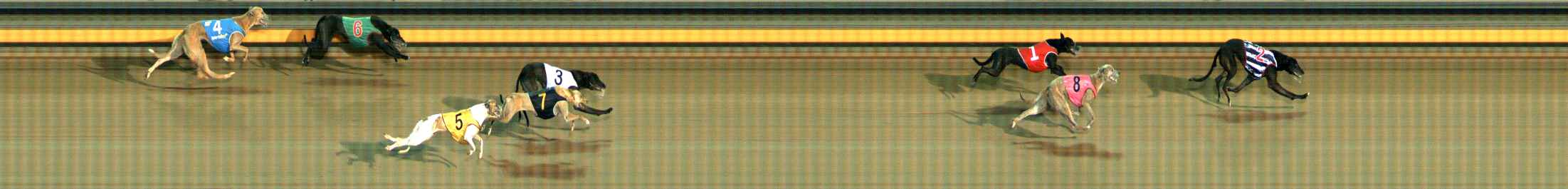 Photo finish for Ballarat Race 12
