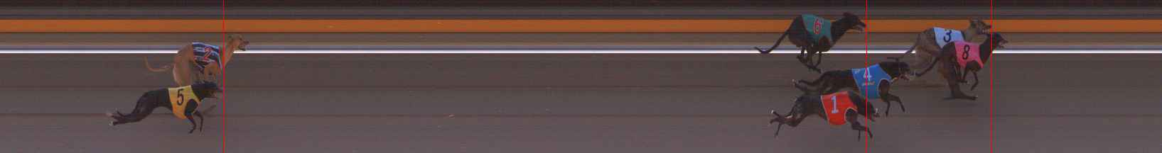 Photo finish for Ballarat Race 1