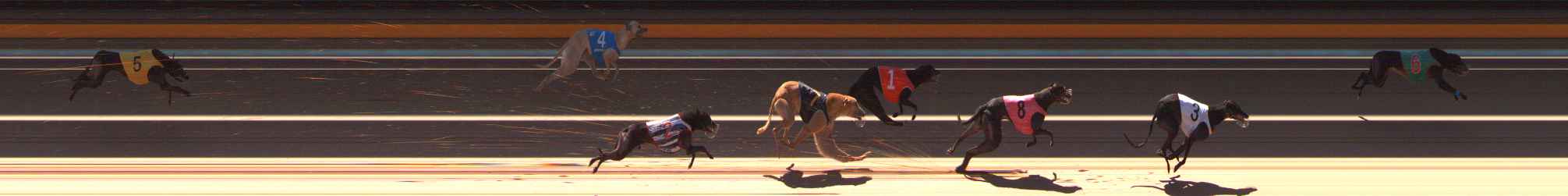Photo finish for Ballarat Race 5