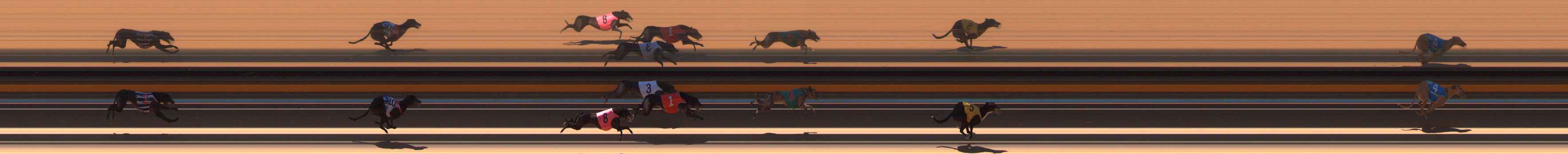 Photo finish for Ballarat Race 6