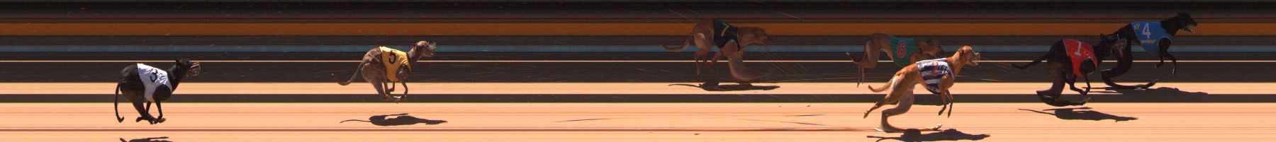 Photo finish for Ballarat Race 7