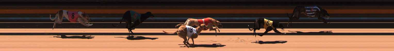 Photo finish for Ballarat Race 8