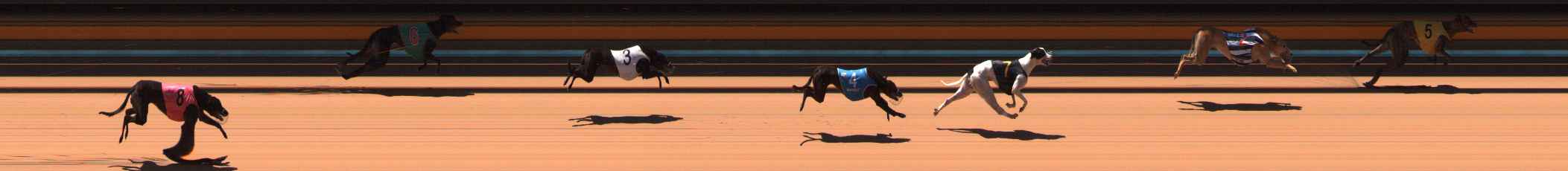 Photo finish for Ballarat Race 9