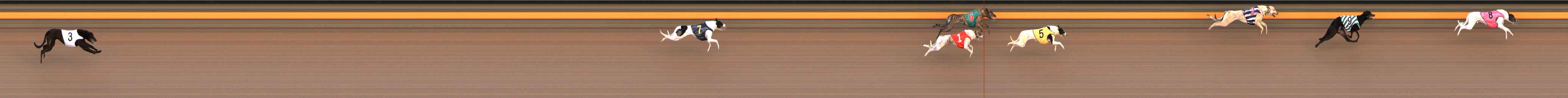 Photo finish for Ballarat Race 2