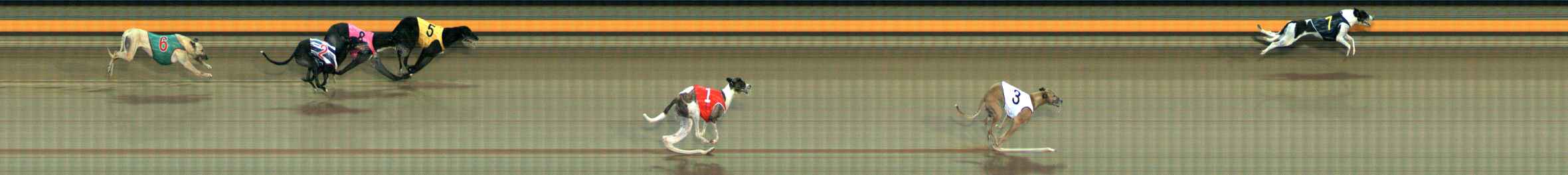 Photo finish for Ballarat Race 6