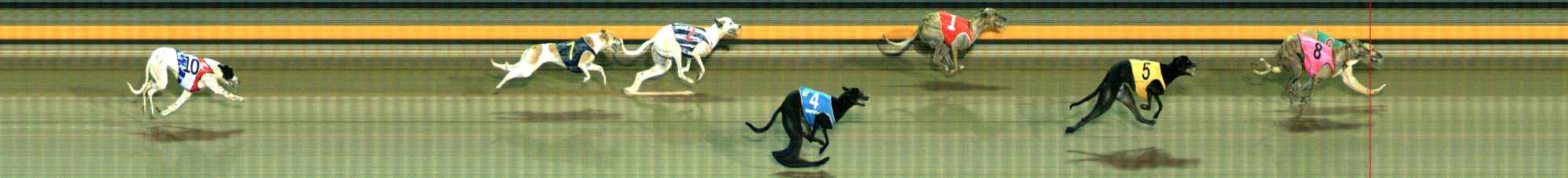 Photo finish for Ballarat Race 8