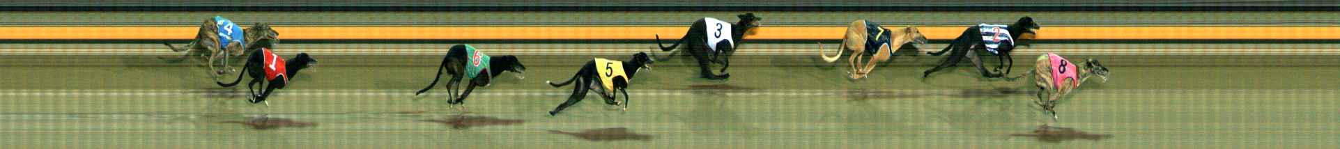 Photo finish for Ballarat Race 9