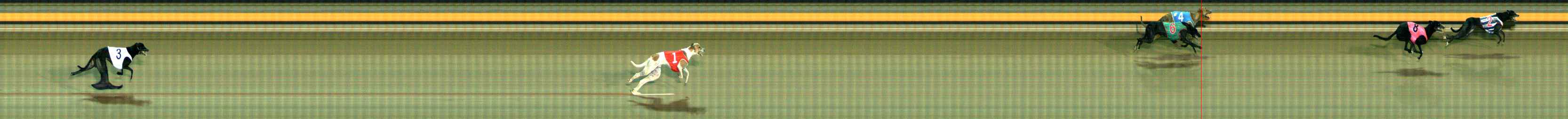 Photo finish for Ballarat Race 10