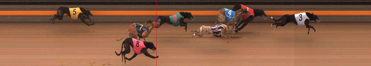 Photo finish for Ballarat Race 9