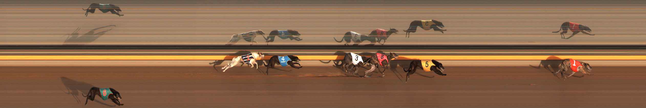 Photo finish for Ballarat Race 3