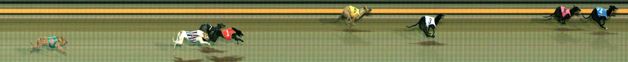 Photo finish for Ballarat Race 9