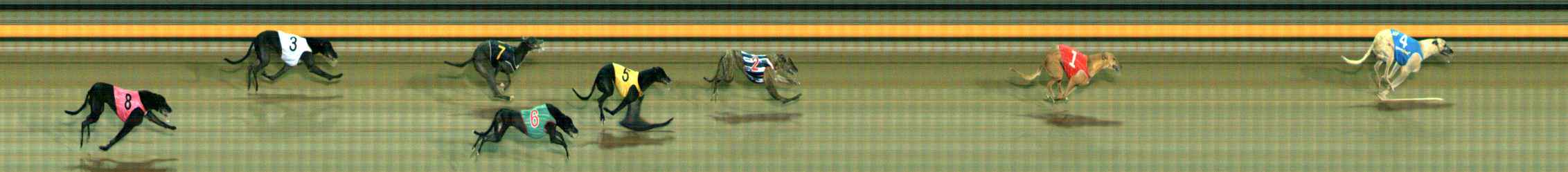 Photo finish for Ballarat Race 11