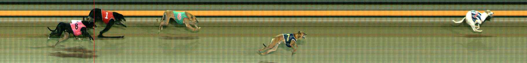 Photo finish for Ballarat Race 12