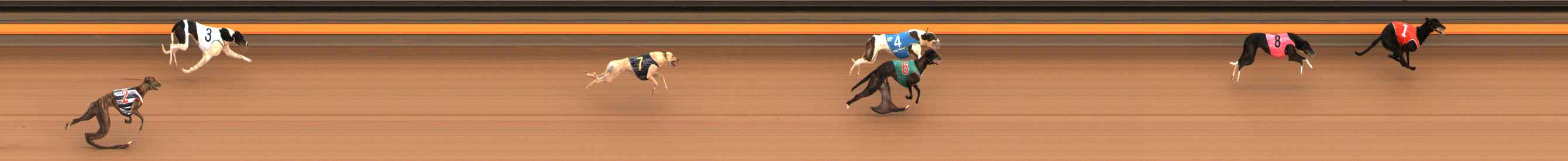 Photo finish for Ballarat Race 2